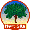Next Site Logo
